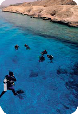 Sharm El-Sheikh Divers in the Red Sea